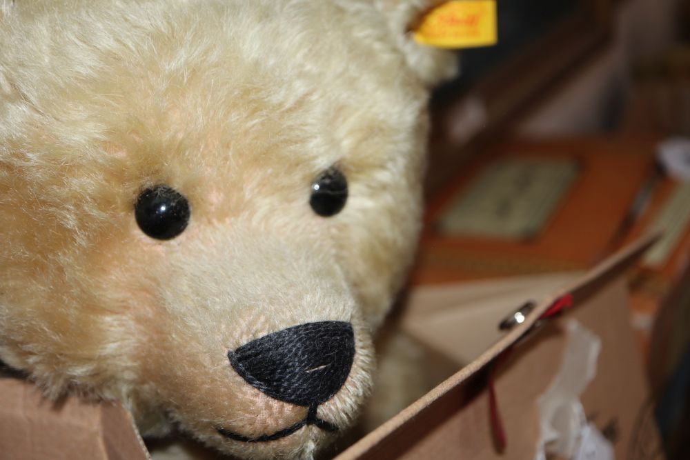 Two Steiff classic yellow tag bears, boxed